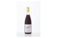 井筒ワイン 井筒プレミアム 完熟ぶどうジュース メルロー 720ml × 2本 極甘口 発売元 株式会社片山