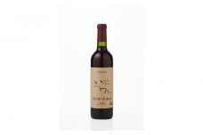 井筒ワイン 酸化防止剤不使用 井筒 コンコード 赤中口 720ml × 2本 発売元 株式会社片山