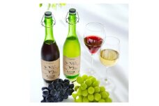 井筒ワイン 酸化防止剤無添加 井筒 果汁発酵生ワイン 赤・白 720ml 2本セット 発売元 株式会社片山
