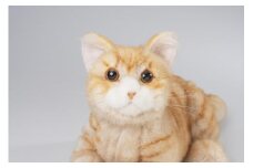 川崎市のロボットメーカーが作る、シニア向けペットの代理ロボット！なでなでねこちゃんEXシリーズ　（とら）