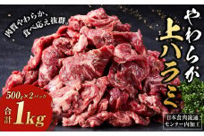 日本食肉流通センター内加工　やわらか上ハラミ　５００g×２パック