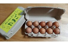 【定期便：12か月】単なる平飼いではない『わたしたちのぷらいどたまご』6パック（60個）セット