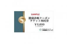 川崎健診クリニック　健康診断クーポンチケット6,600円分