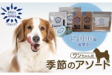 お魚だよ全員集合　季節のアソートセット 5,000円セット　ワンちゃん用