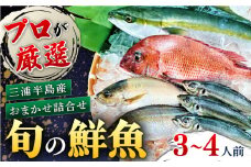 魚 旬のおまかせ 鮮魚 厳選詰め合わせセット 3～4人前(2～３魚種) 季節 水産 旬 お魚 魚料理【長井水産株式会社】 [AKAJ002]