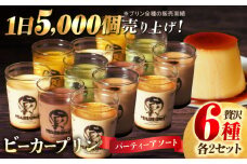 葉山ビーカープリン パーティーアソート セット 6種×2個 詰め合わせプリン (カスタード / かぼちゃ / 抹茶 / 北海道フレッシュクリーム / エスプレッソ / チョコレート) 食べ比べ プリン ぷりん デザート おやつ 贅沢 プリン 横須賀 【マーロウ】 [AKAF004]