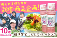 横須賀紫にんじんドレッシング 200ml×10本セット【グローカルデザインスクール 株式会社横須賀ジュニアビレッジ】 [AKCP002]