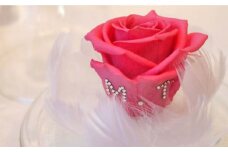 プリザーブドフラワー(パステルピンク) 花 贈り物 ギフト 贈答 インテリア 雑貨 装飾 プリザーブドフラワー アメリカン 【横須賀商工会議所 おもてなしギフト事務局（プレゼントギフトのForyou）】 [AKEP001]
