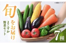 横須賀産野菜セット 7種 詰め合わせ 野菜 セット 詰め合わせ 横須賀 横須賀野菜 キャベツ 玉ねぎ ブロッコリー なす にんじん きゅうり さつまいも 里芋 ゴーヤ 大根 ほうれん草【横須賀商工会議所 おもてなしギフト事務局（三浦半島直売所）】 [AKES001]