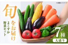 横須賀産野菜セット 大盛り 7種 詰め合わせ 野菜 セット 詰め合わせ 横須賀 横須賀野菜 キャベツ 玉ねぎ ブロッコリー なす にんじん きゅうり さつまいも 里芋 ゴーヤ 大根 ほうれん草【横須賀商工会議所 おもてなしギフト事務局（三浦半島直売所）】 [AKES002]