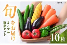 横須賀産野菜セット 10種 詰め合わせ　野菜 セット 詰め合わせ 横須賀 横須賀野菜 キャベツ 玉ねぎ ブロッコリー なす にんじん きゅうり さつまいも 里芋 ゴーヤ 大根 ほうれん草【横須賀商工会議所 おもてなしギフト事務局（三浦半島直売所）】 [AKES003]