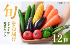 横須賀産野菜セット 大盛り 12種 詰め合わせ　野菜 セット 詰め合わせ 横須賀 横須賀野菜 キャベツ 玉ねぎ ブロッコリー なす にんじん きゅうり さつまいも 里芋 ゴーヤ 大根 ほうれん草【横須賀商工会議所 おもてなしギフト事務局（三浦半島直売所）】 [AKES004]