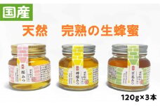 【先行予約】【数量限定】浦賀砲台蜂蜜 3本入り（120g×3本） 国産 はちみつ ハチミツ 生蜂蜜 農園 横須賀【ファーマシーガーデン浦賀】 [AKBG001]