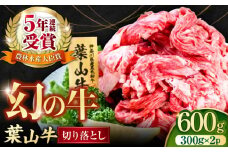 葉山牛 切り落とし300g×2パック 計600g 小分け 牛肉 切り落とし 和牛 きりおとし 横須賀 冷凍  【株式会社羽根】 [AKAG001]