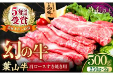 葉山牛肩ロースすき焼き用 250g×2パック 計500g 小分け 牛肉 すきやき 冷凍 【株式会社羽根】 [AKAG004]