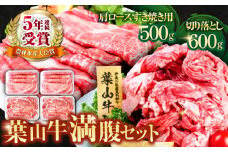 葉山牛満腹セット（肩ロースすき焼用250g×2＋切落し300g×2 ）計1.1kg セット 詰め合わせ 牛肉 切り落とし すきやき すき焼 横須賀 【株式会社羽根】 [AKAG006]