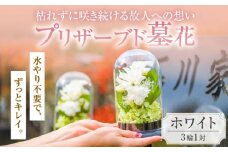 プリザーブド 墓花 （ぼか） ホワイト 3輪 1対【プリフラ・sayumi】 [AKDG001]