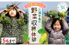 三浦半島 の 野菜 収穫体験【株式会社シテコベ】 [AKDQ001]