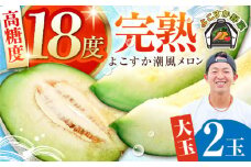 【先行予約】【数量限定】よこすか潮風メロン 大玉 4L 2玉 セット 計約3kg めろん フルーツ 果物 ネットメロン 贈答 希少 産地直送 横須賀【井上農園】 [AKDJ001]