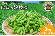 【先行予約】【数量限定】はねっ娘 枝豆 3kg（300g×10袋）【有限会社岩崎ファーム】えだまめ 枝豆 あまおとめ [AKCZ002]