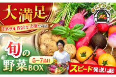 すずなり採れたて野菜BOX（5～7品目）野菜セット 詰め合わせ 季節野菜 やさい 産地直送 旬 新鮮 横須賀【鈴也ファーム】 [AKCE001] 