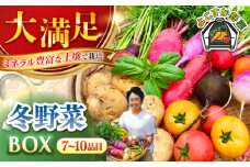 すずなり採れたて野菜BOX（7～10品目）野菜セット 詰め合わせ 季節野菜 やさい 産地直送 旬 新鮮【鈴也ファーム】 [AKCE003]