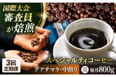 【全3回定期便】コーヒー豆 自家焙煎 中煎り グアテマラ 200g×4 TSUKIKOYA COFFEE ROASTER ツキコヤ 珈琲 こだわり 横須賀【株式会社RUINS】 [AKAD013]