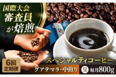 【全6回定期便】コーヒー豆 自家焙煎 中煎り グアテマラ 200g×4 TSUKIKOYA COFFEE ROASTER ツキコヤ 珈琲 こだわり 横須賀【株式会社RUINS】 [AKAD014]