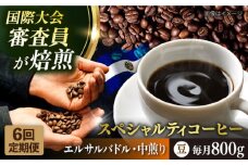【全6回定期便】コーヒー豆 自家焙煎 中煎り エルサルバドル 200g×4 TSUKIKOYA COFFEE ROASTER ツキコヤ 珈琲 こだわり 横須賀【株式会社RUINS】 [AKAD029]