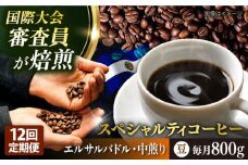 【全12回定期便】コーヒー豆 自家焙煎 中煎り エルサルバドル 200g×4 TSUKIKOYA COFFEE ROASTER ツキコヤ 珈琲 こだわり 横須賀【株式会社RUINS】 [AKAD030]