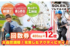 ソレイユの丘 回数券 400円分×12枚 神奈川 横須賀 観光 施設 レジャー ソレイユ ソレイユの丘 日比谷花壇 【株式会社日比谷花壇】 [AKBO001]