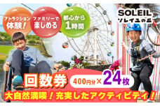 ソレイユの丘 回数券 400円分×24枚 神奈川 横須賀 観光 施設 レジャー ソレイユ ソレイユの丘 日比谷花壇 【株式会社日比谷花壇】 [AKBO002]