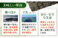 訳アリ 海苔 のり ノリ 焼き海苔 走水海苔 横須賀
