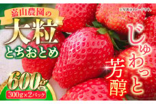 【先行予約】【数量限定】嘉山農園の完熟大粒いちご とちおとめ（300g×2パック）イチゴ 苺 フルーツ 果物 いちご 大粒 大容量 2パック 完熟 とちおとめ 農園 小分け 人気品種 デザート 甘くておいしい おすすめ 【いちごはうす嘉山農園】 [AKCO001] 