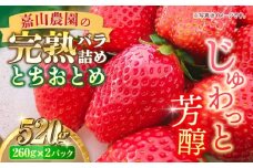 【先行予約】【数量限定】嘉山農園の完熟バラ詰めいちご とちおとめ（260g×2パック）イチゴ 苺 フルーツ 果物 いちご 大粒 大容量 たっぷり 2パック 完熟 とちおとめ 農園 小分け 人気品種 デザート 甘くておいしい おすすめ 旬の果物【いちごはうす嘉山農園】 [AKCO002]