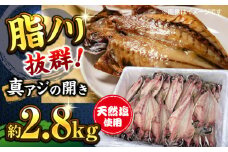 漁師町佐島 真アジの開き 約2.8kg（40枚前後）セット 干物 アジ 鯵 開き 魚 横須賀 冷凍干物 厳選干物 人気干物 干物セット【石川水産】 [AKCX001]