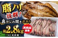 漁師町佐島 真アジの開き 約2.8kg（40枚前後）セット 干物 アジ 鯵 開き 魚 横須賀 冷凍干物 厳選干物 人気干物 干物セット【石川水産】 [AKCX001]