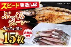 漁師町佐島 カマスの開き 15枚セット 干物 開き 魚 おつまみ 横須賀 冷凍干物 厳選干物 人気干物 干物セット 【石川水産】 [AKCX002]