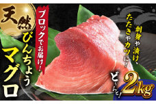 天然 まぐろ 冷凍ぶっこみブロック約2kg 鮪 マグロ 刺身 冷凍 横須賀【横須賀商工会議所 おもてなしギフト事務局（本まぐろ直売所 横須賀本店）】 [AKAK001]