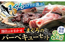 まぐろ おまかせバーベキューセット 冷凍約3kg 鮪 マグロ BBQ 魚 横須賀【横須賀商工会議所 おもてなしギフト事務局（本まぐろ直売所 横須賀本店）】 [AKAK004]