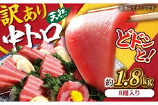 【訳あり】天然 まぐろ 中トロ  メバチ 計約1.8kg (8柵入り) 鮪 マグロ 魚 刺身 まぐろ 横須賀【横須賀商工会議所 おもてなしギフト事務局（本まぐろ直売所 横須賀本店）】 [AKAK011]