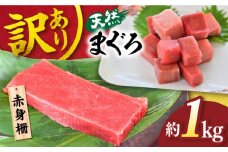 【訳あり】天然 まぐろ 赤身（約1kg） わけあり ワケあり 鮪 マグロ 魚 刺身 まぐろ あかみ 横須賀【横須賀商工会議所 おもてなしギフト事務局（本まぐろ直売所 横須賀本店）】 [AKAK012]