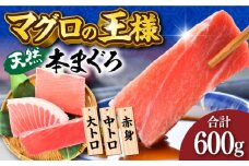 天然 本まぐろ 大トロ・中トロ・赤身（約200ｇ×3柵）約600ｇ 鮪 マグロ 魚 刺身 横須賀【横須賀商工会議所 おもてなしギフト事務局（本まぐろ直売所 横須賀本店）】 [AKAK018]
