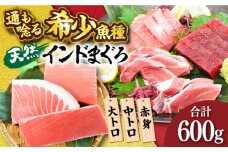 天然 まぐろ 大トロ・中トロ・赤身（約200ｇ×3柵）約600ｇ 鮪 マグロ 魚 刺身 横須賀【横須賀商工会議所 おもてなしギフト事務局（本まぐろ直売所 横須賀本店）】 [AKAK020]