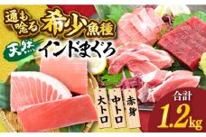 天然 まぐろ 大トロ・中トロ・赤身（約200ｇ×6柵）約1200ｇ 鮪 マグロ 魚 刺身 横須賀【横須賀商工会議所 おもてなしギフト事務局（本まぐろ直売所 横須賀本店）】 [AKAK021]