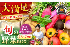 【全12回定期便】すずなり採れたて野菜BOX（5～7品目）野菜セット 詰め合わせ 季節野菜 やさい 産地直送 旬 新鮮 横須賀【鈴也ファーム】 [AKCE004]