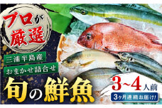 【全3回定期便】旬のおまかせ 厳選鮮魚セット 3～4人前(2～3魚種) 三浦半島産 旬の鮮魚 詰め合わせ セット プロが厳選  横須賀 鮮度抜群 海の幸 生魚 定期 海鮮 魚介 獲れたて【長井水産株式会社】 [AKAJ015]