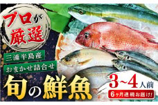 【全6回定期便】旬のおまかせ 厳選鮮魚セット 3～4人前(2～3魚種) 三浦半島産 旬の鮮魚 詰め合わせ セット プロが厳選  横須賀 鮮度抜群 海の幸 生魚 定期 海鮮 魚介 獲れたて【長井水産株式会社】 [AKAJ016]