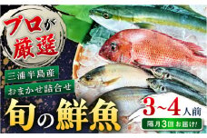 【全3回 隔月 定期便】旬のおまかせ 厳選鮮魚セット 3～4人前(2～3魚種) 三浦半島産 旬の鮮魚 詰め合わせ セット プロが厳選  横須賀 鮮度抜群 海の幸 生魚 定期 海鮮 魚介 獲れたて【長井水産株式会社】 [AKAJ017]