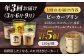【全3回定期便】葉山ビーカープリン おすすめプリン 180g×5個セット